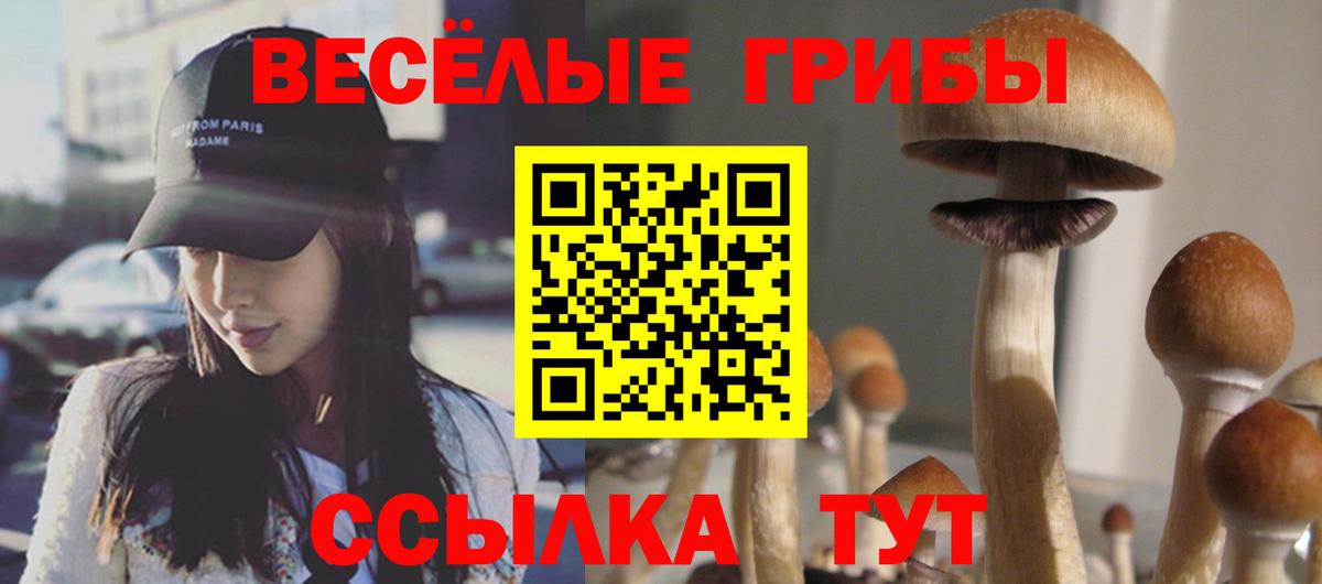 Псилоцибиновые грибы мухоморы  Вход с VPN  Кашира 